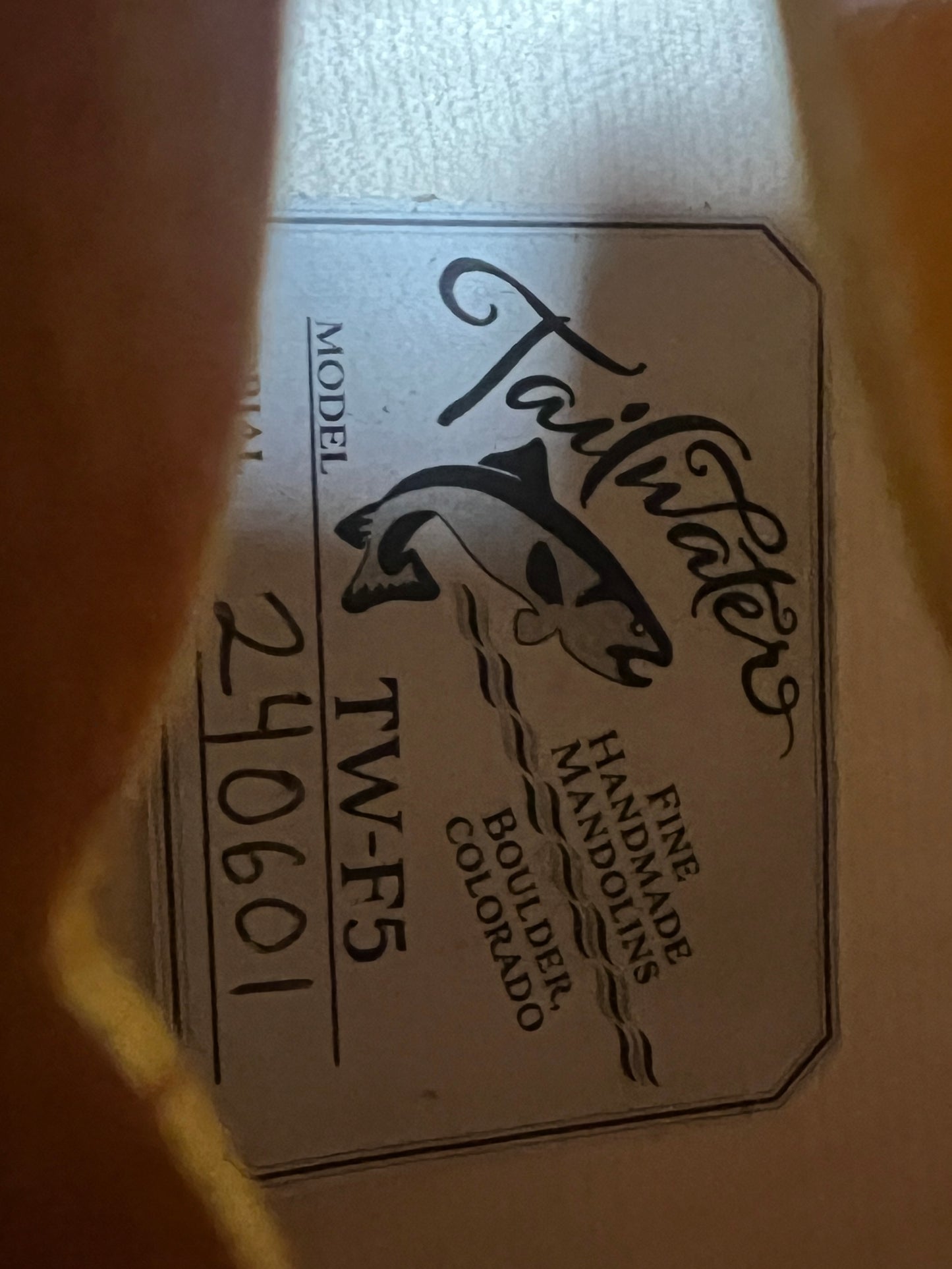 Tailwater TW-F5 European Spruce/Flamed Maple F-Style Mandolin - Used