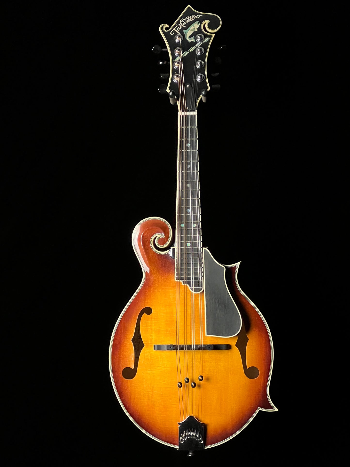 Tailwater TW-F5 European Spruce/Flamed Maple F-Style Mandolin - Used