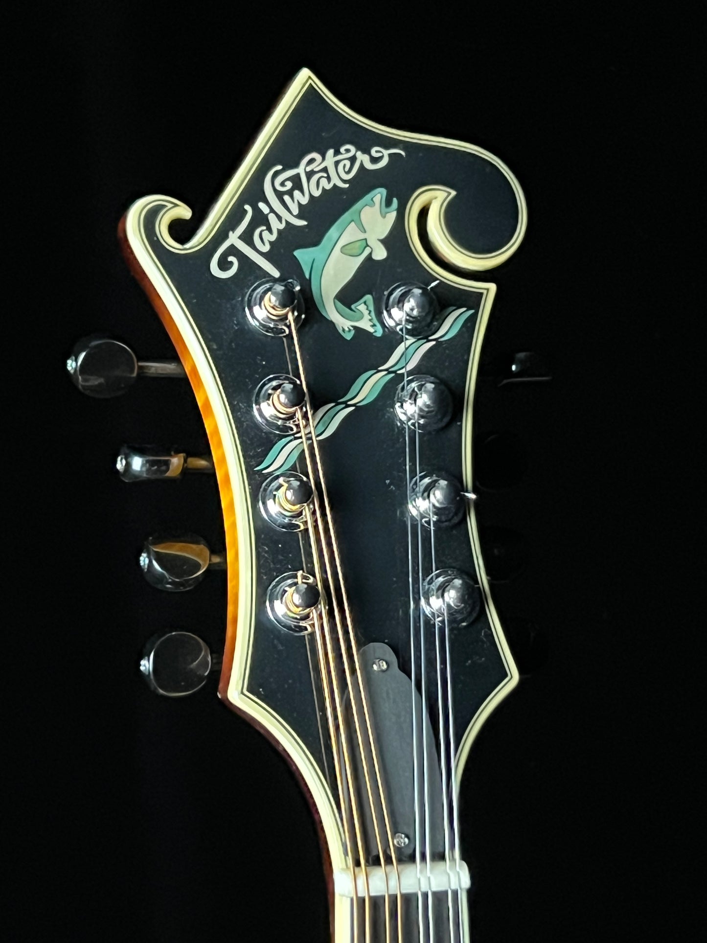 Tailwater TW-F5 European Spruce/Flamed Maple F-Style Mandolin - Used