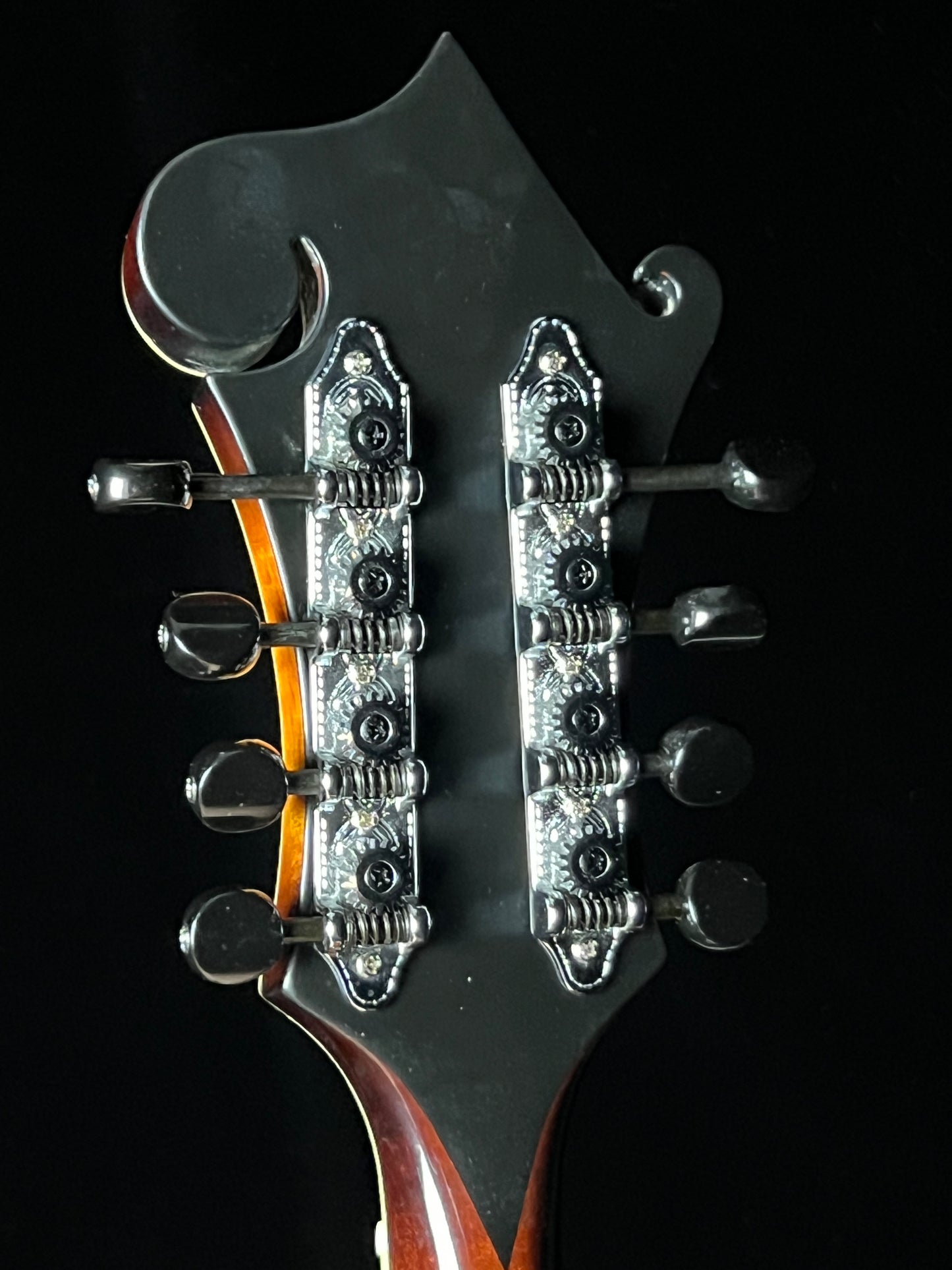 Tailwater TW-F5 European Spruce/Flamed Maple F-Style Mandolin - Used