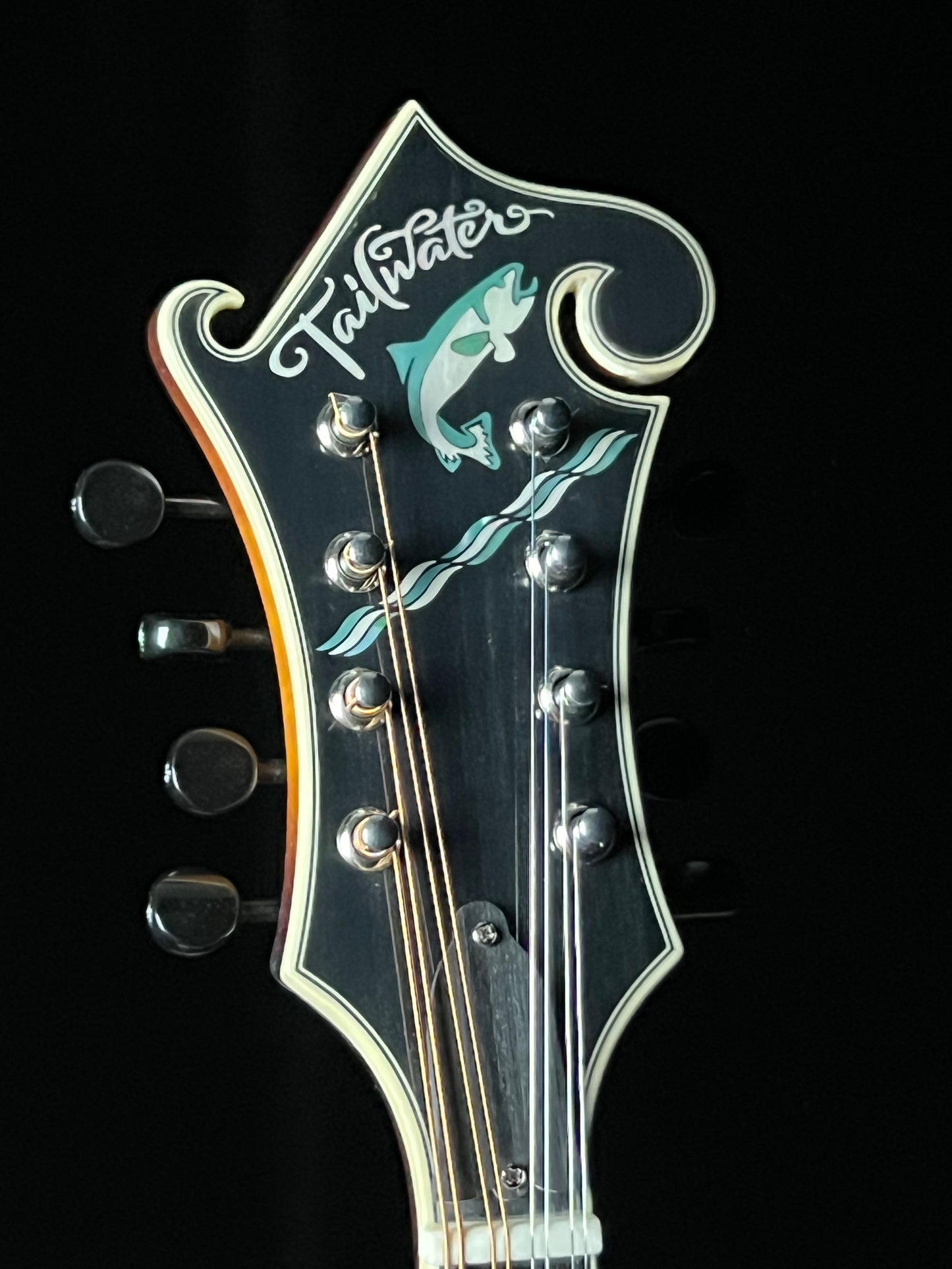 Tailwater TW-F5 F-Style Mandolin European Spruce/Maple - New