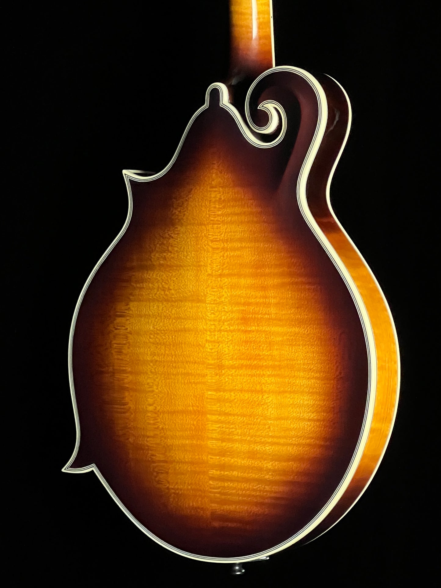 Tailwater TW-F5 F-Style Mandolin European Spruce/Maple - New