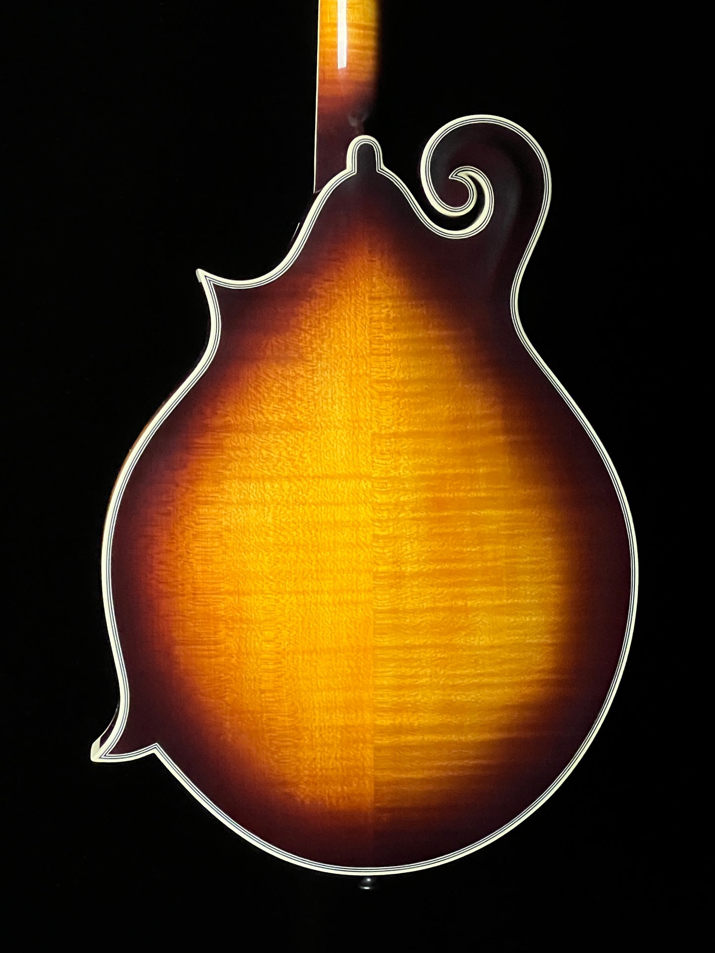 Tailwater TW-F5 F-Style Mandolin European Spruce/Maple - New