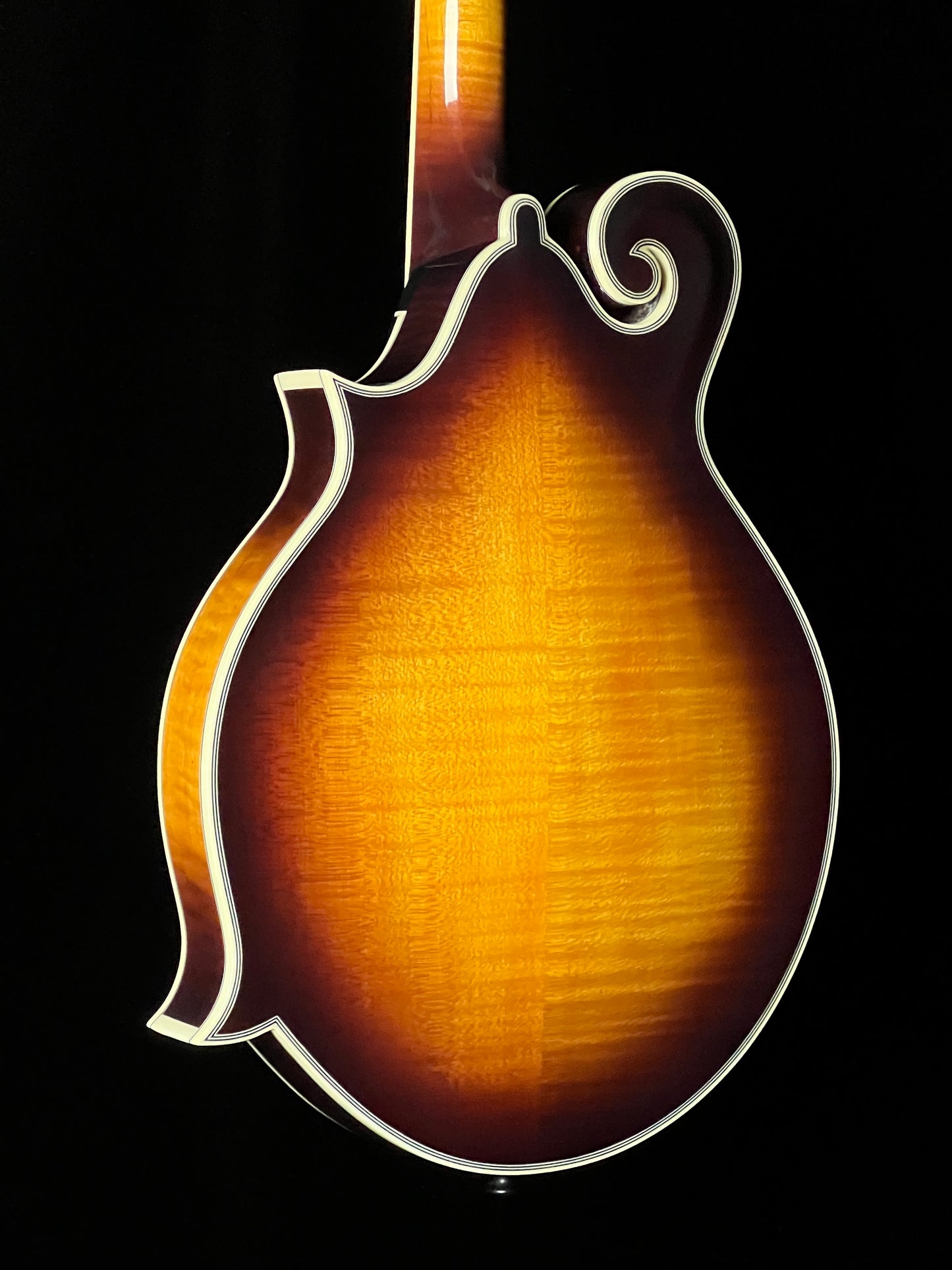 Tailwater TW-F5 F-Style Mandolin European Spruce/Maple - New