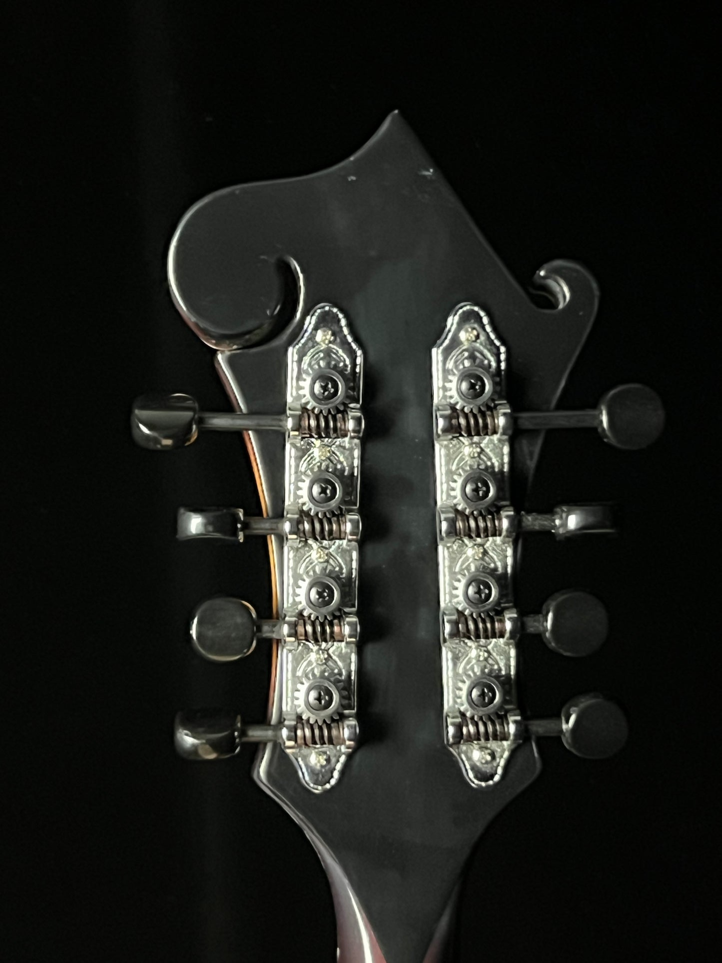 Tailwater TW-F5 F-Style Mandolin European Spruce/Maple - New