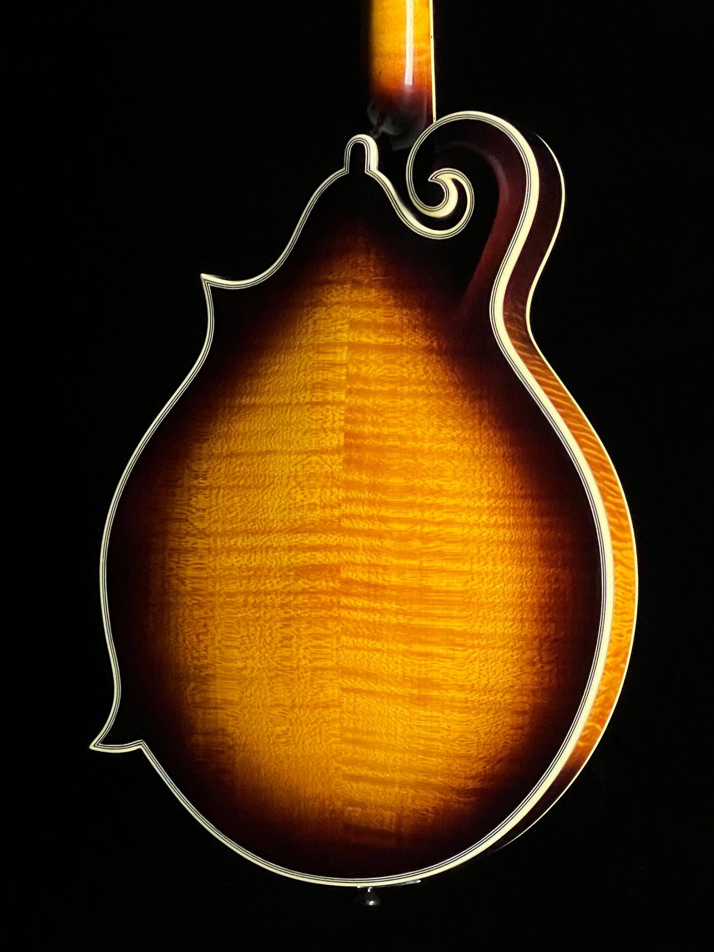 Tailwater TW-F5 F-Style Mandolin European Spruce/ Maple - New