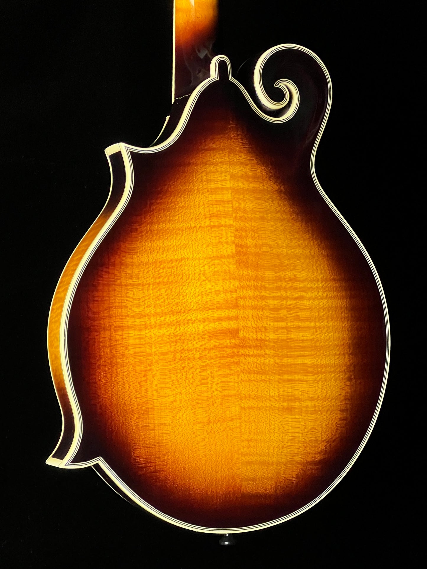 Tailwater TW-F5 F-Style Mandolin European Spruce/ Maple - New