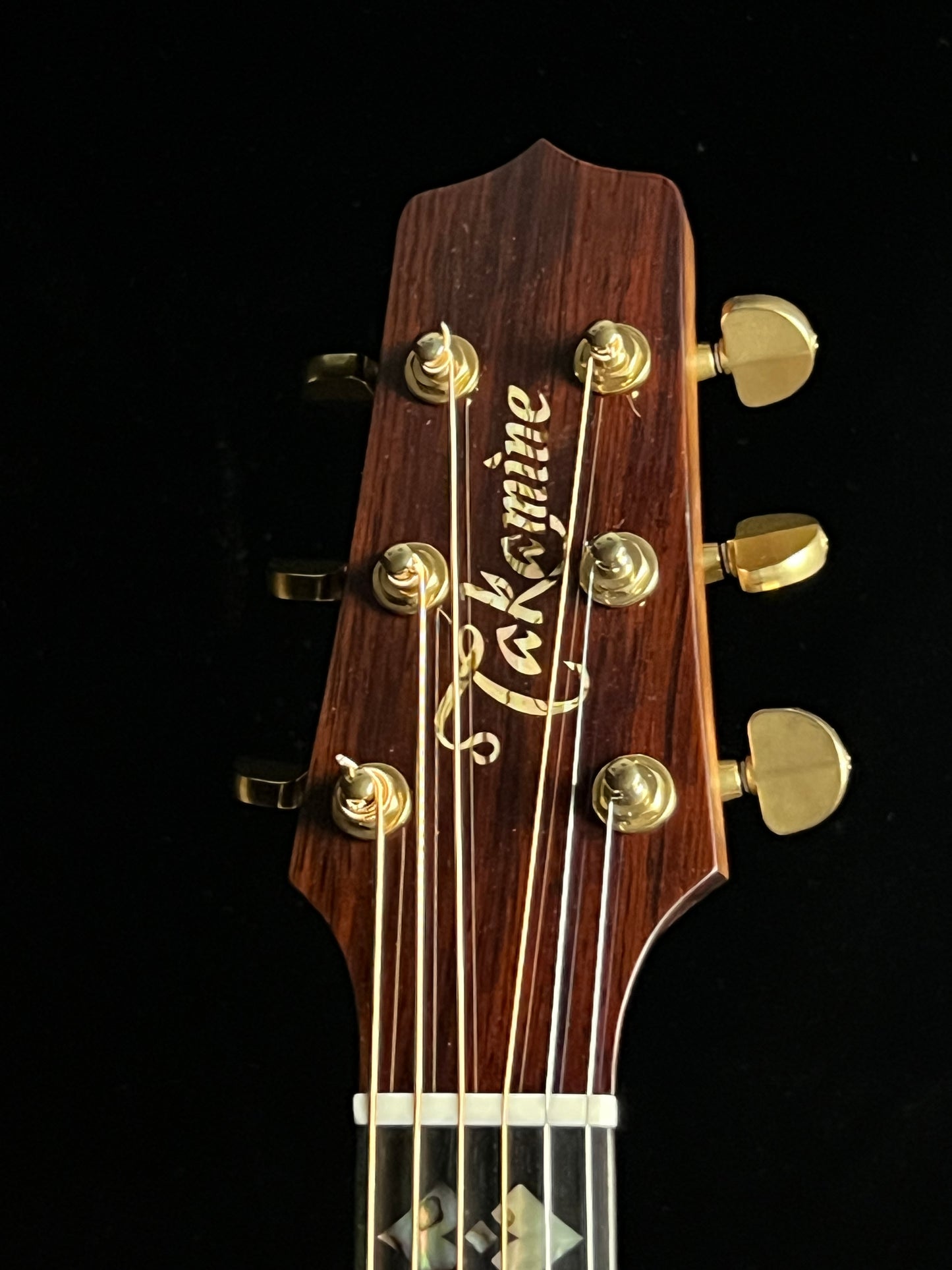 Takamine 200 Series Custom SG-CPD-AC1 Acoustic Guitar with Pickup Adirondack Spruce/Cocobolo - Used
