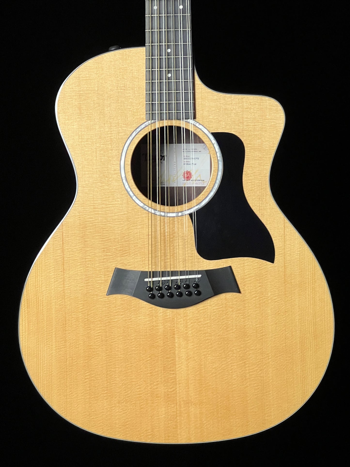Taylor 254ce Plus (2024) Grand Auditorium 12-String Guitar - Used