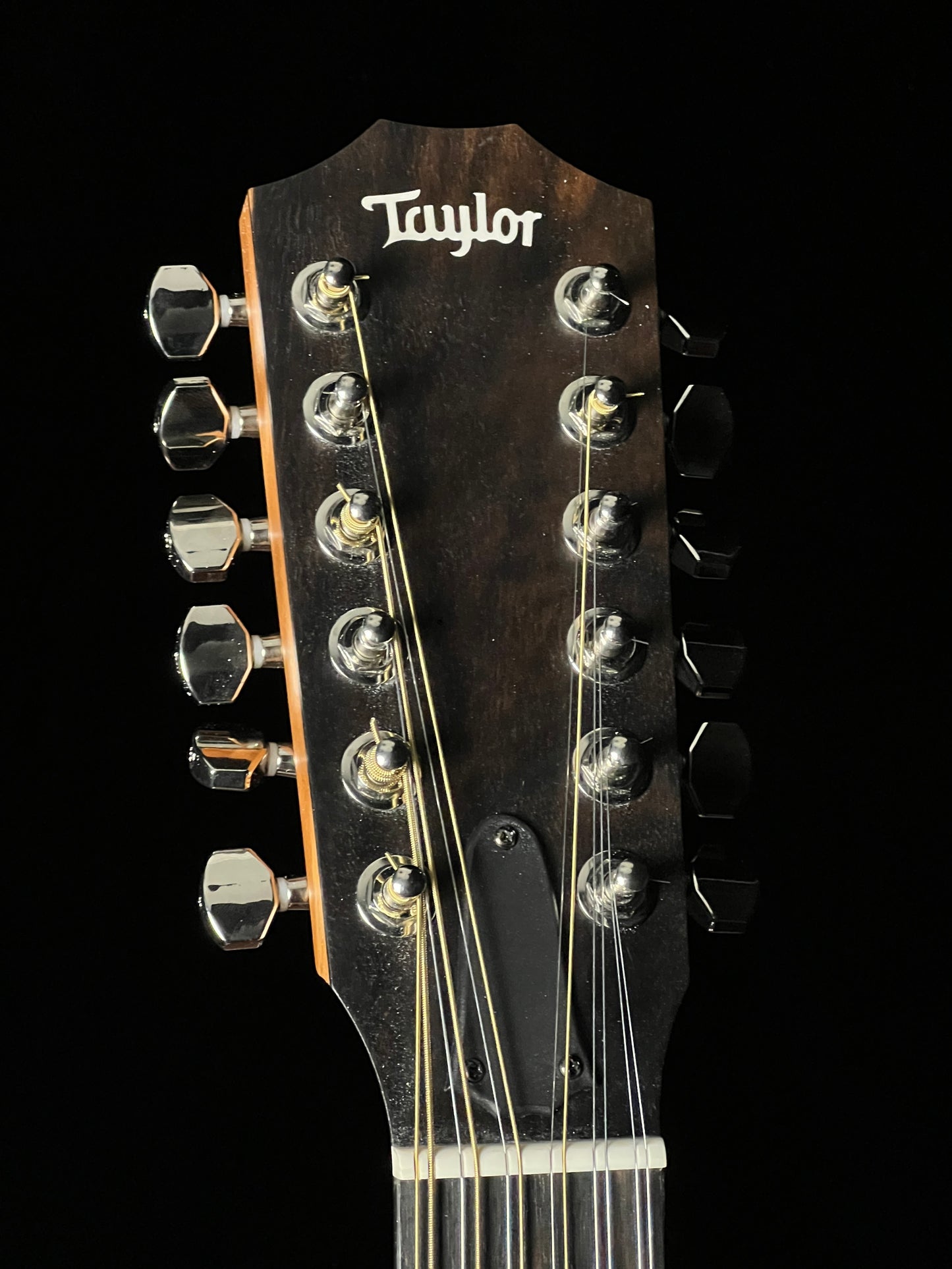 Taylor 254ce Plus (2024) Grand Auditorium 12-String Guitar - Used