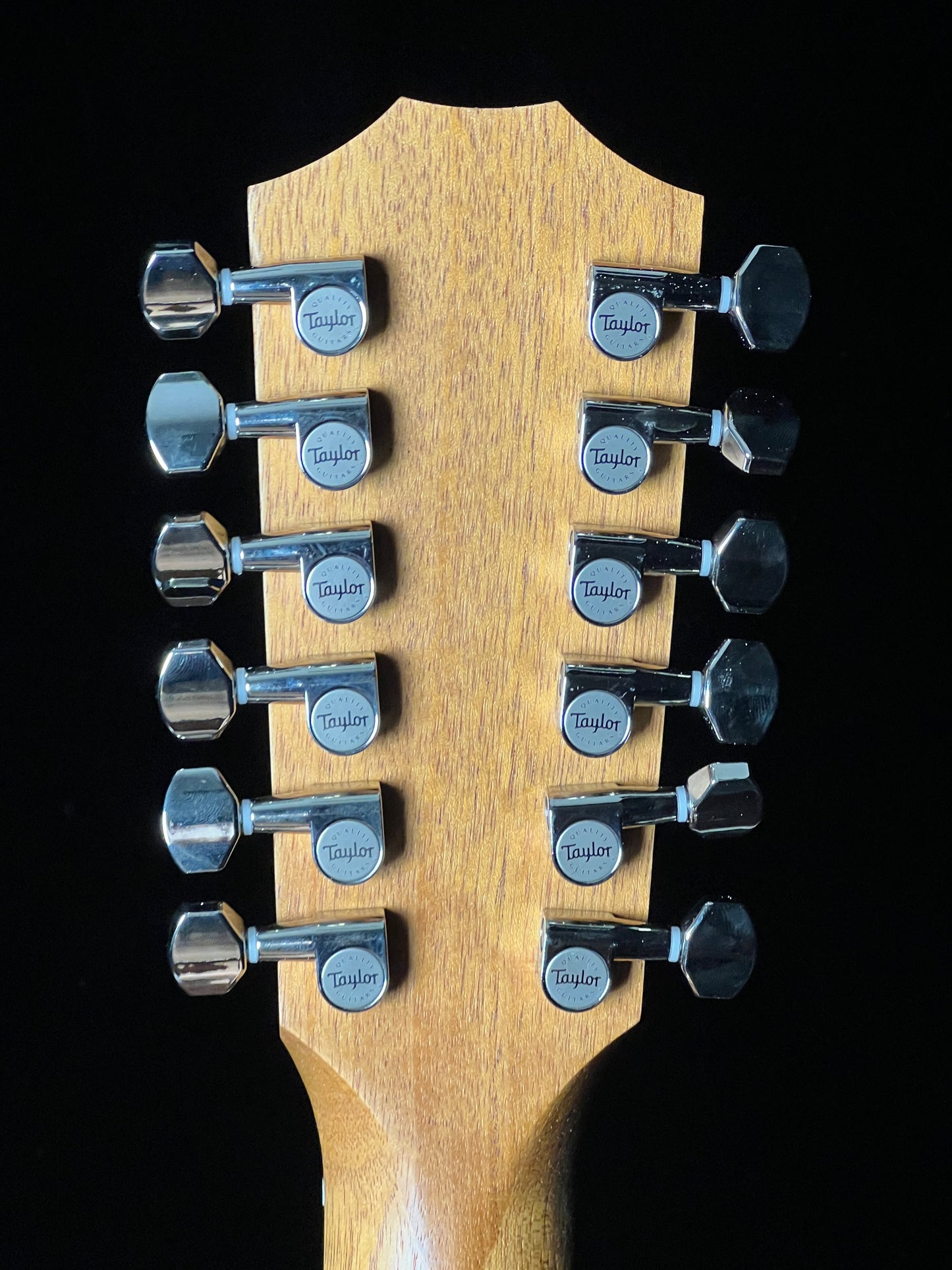 Taylor 254ce Plus (2024) Grand Auditorium 12-String Guitar - Used