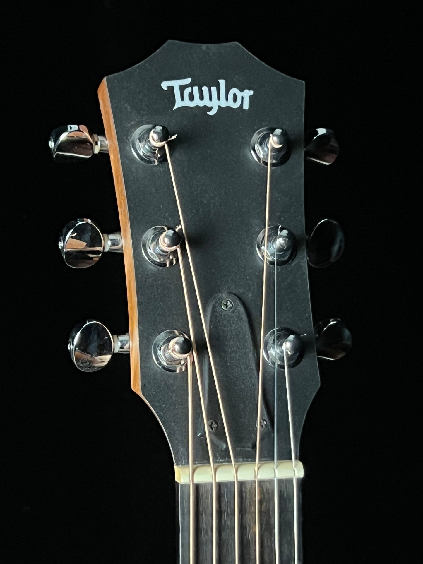 Taylor GS Mini (2010) Acoustic Guitar - Used