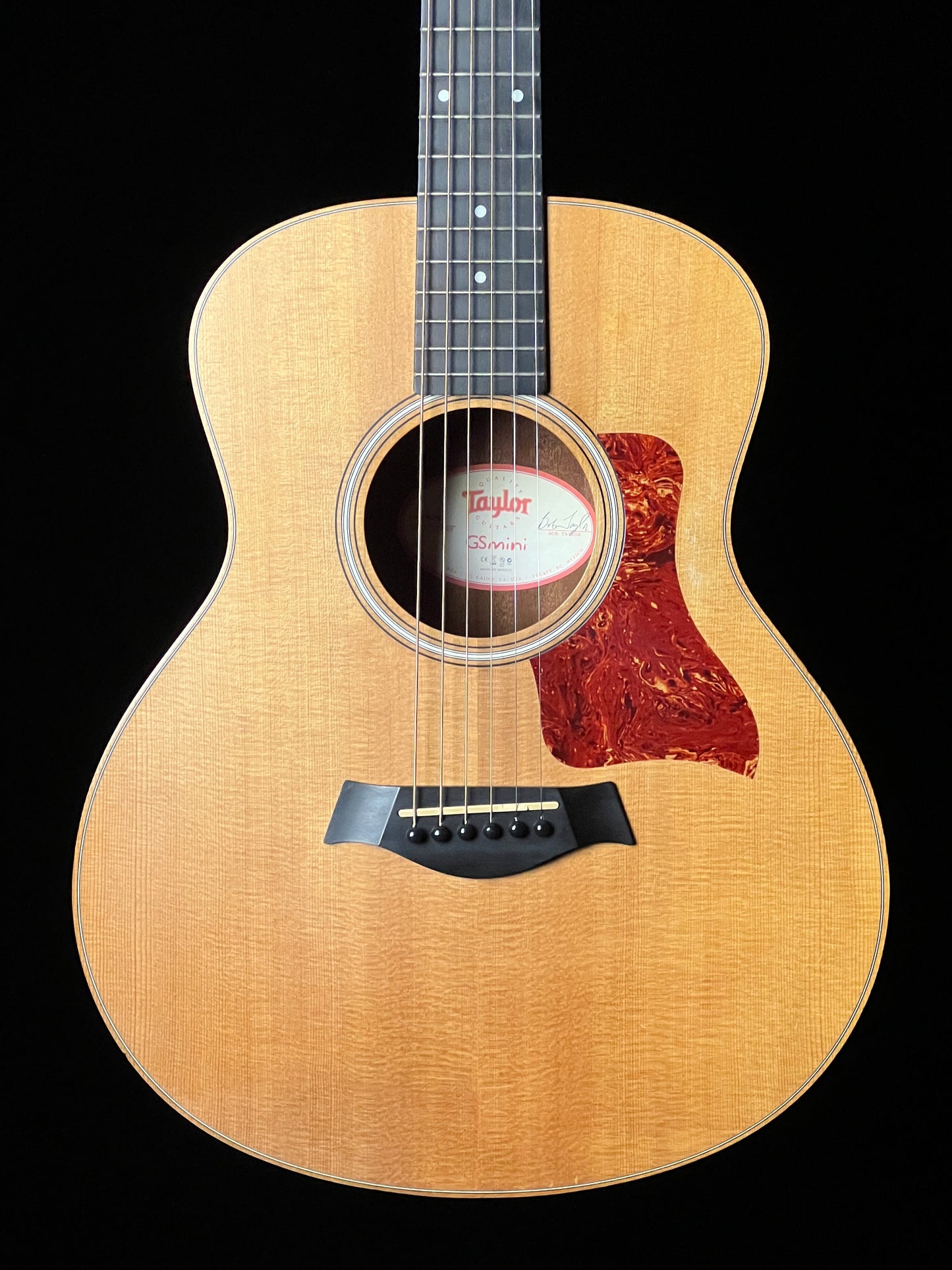 Taylor GS Mini (2010) Acoustic Guitar - Used