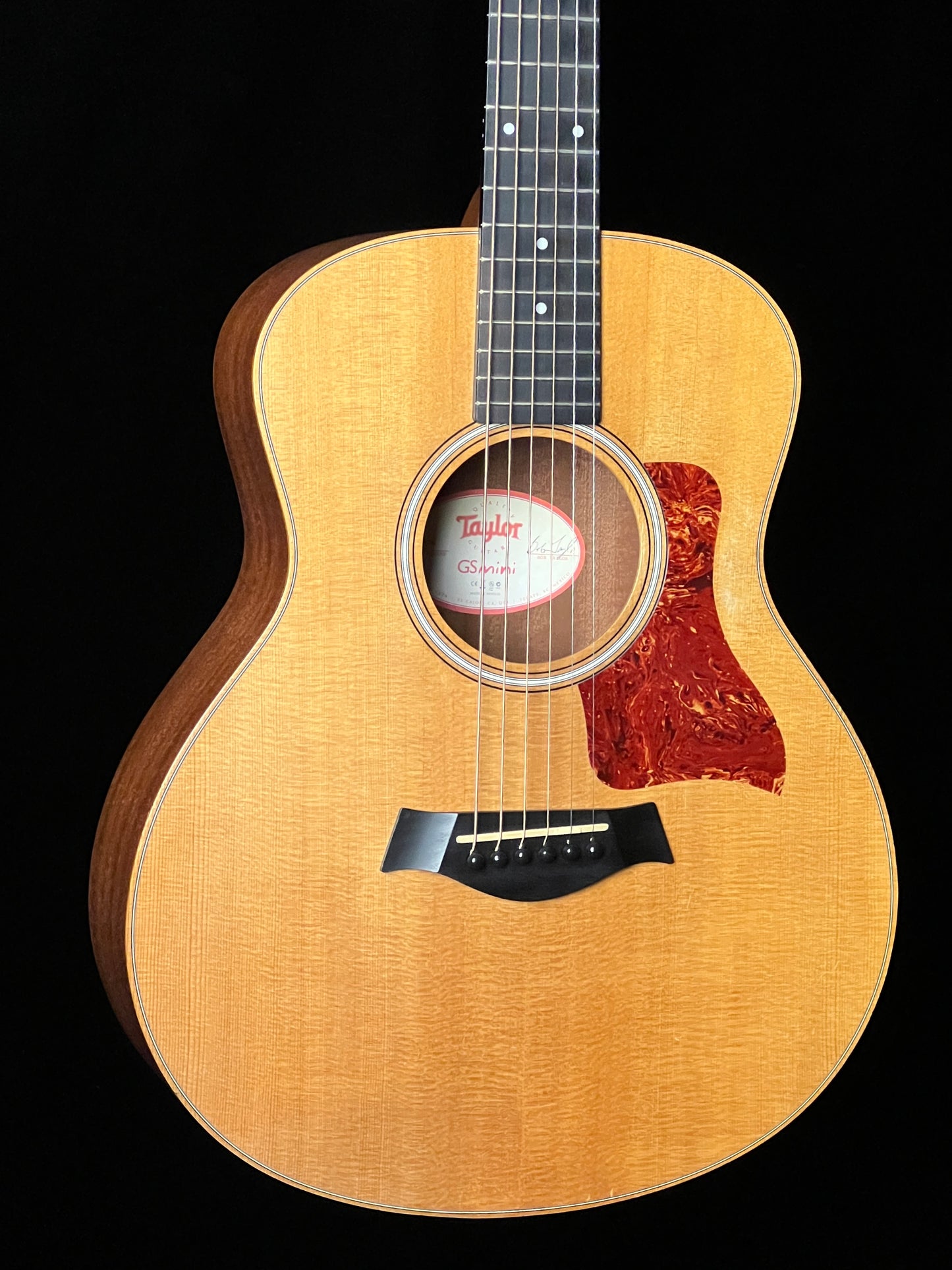 Taylor GS Mini (2010) Acoustic Guitar - Used