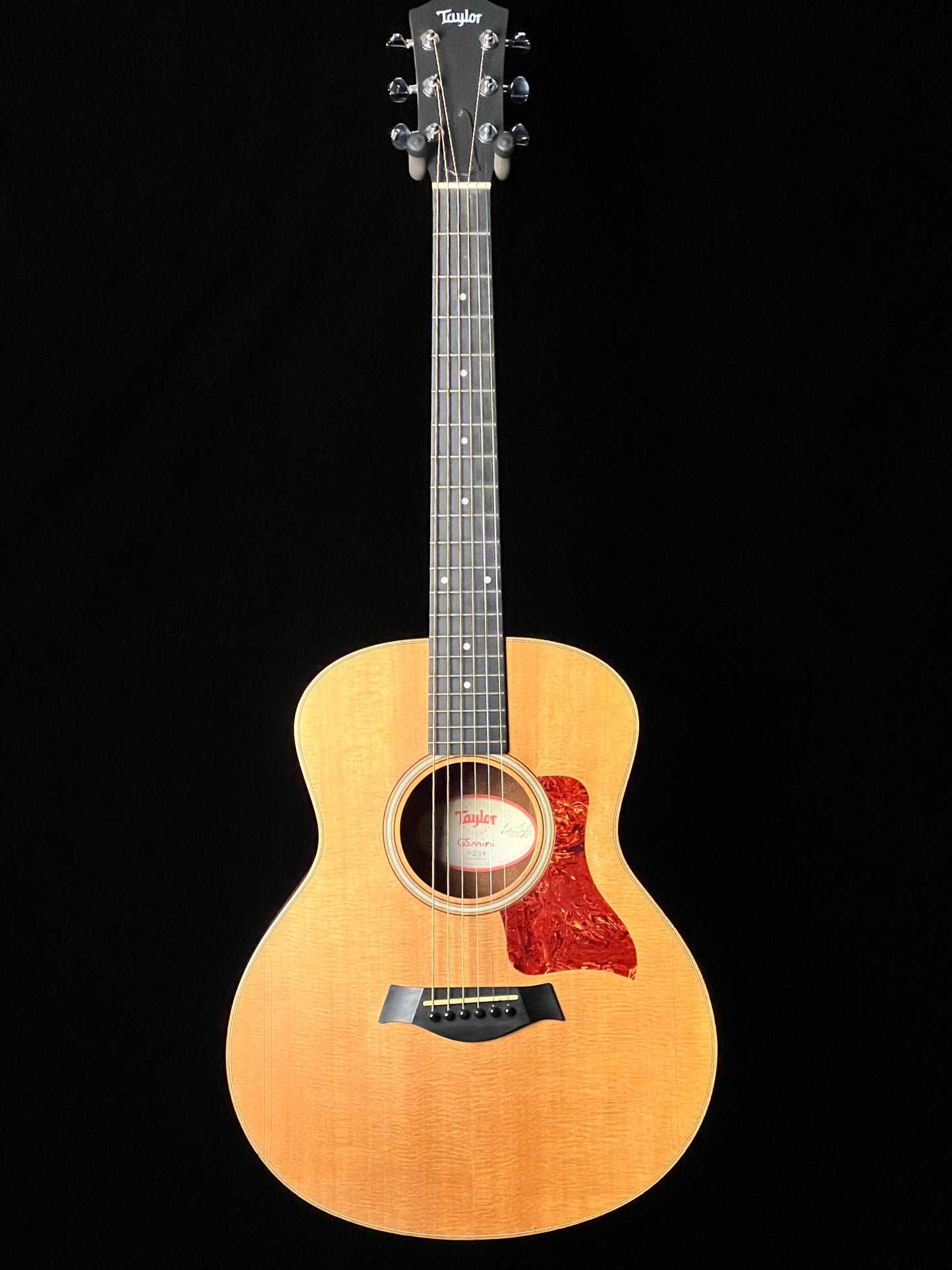 Taylor GS Mini (2010) Acoustic Guitar - Used