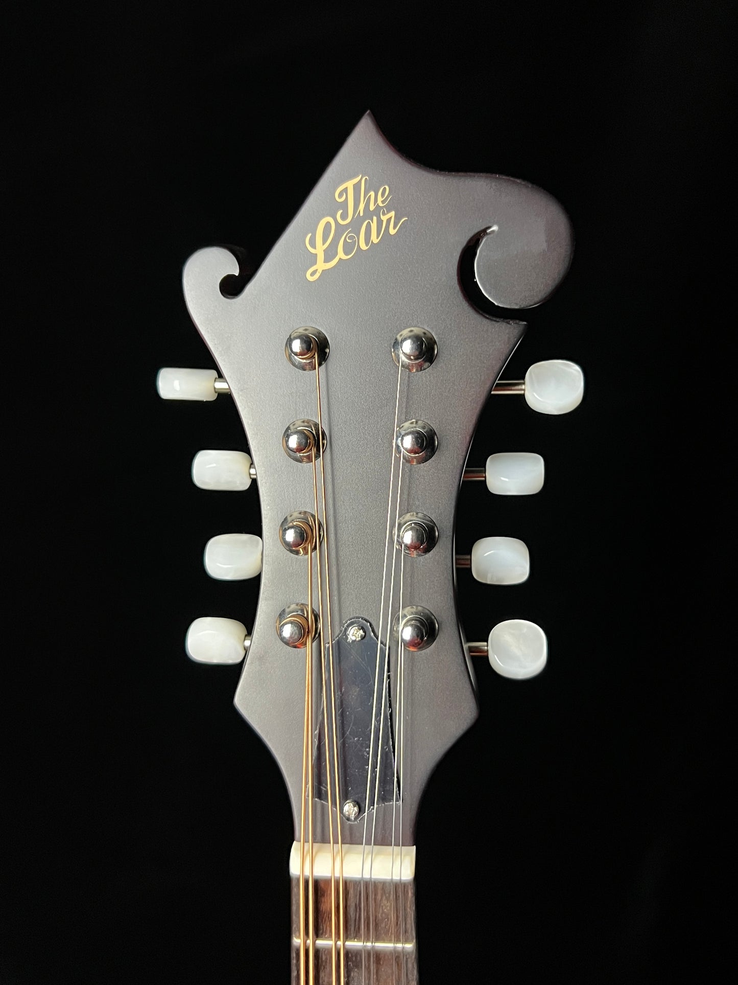 The Loar Honey Creek F-Style Mandolin LM-310F Solid Spruce Top - New