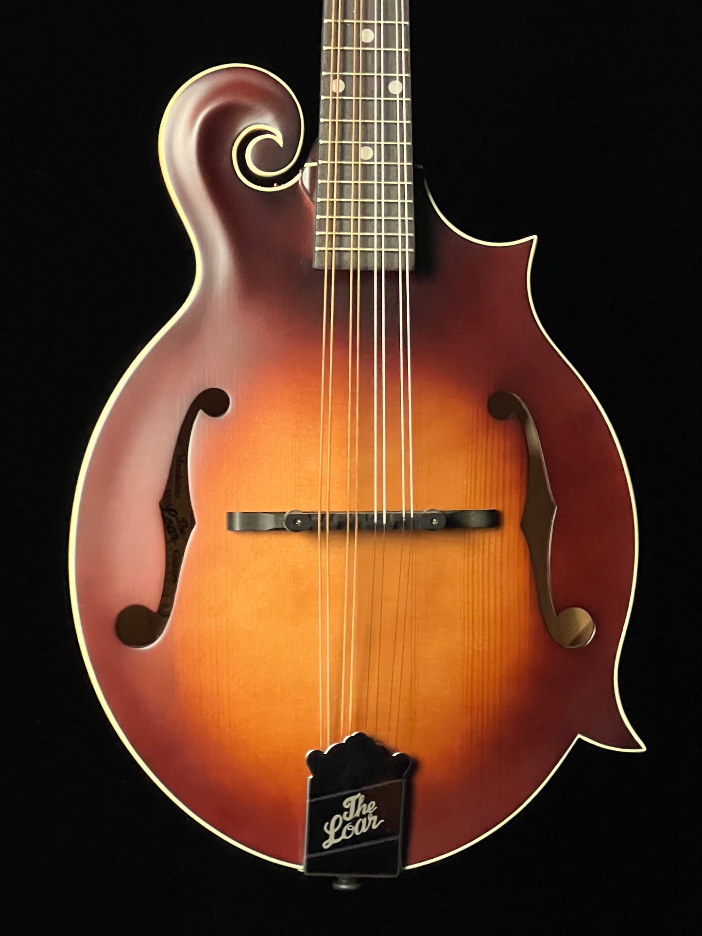 The Loar Honey Creek F-Style Mandolin LM-310F Solid Spruce Top - New