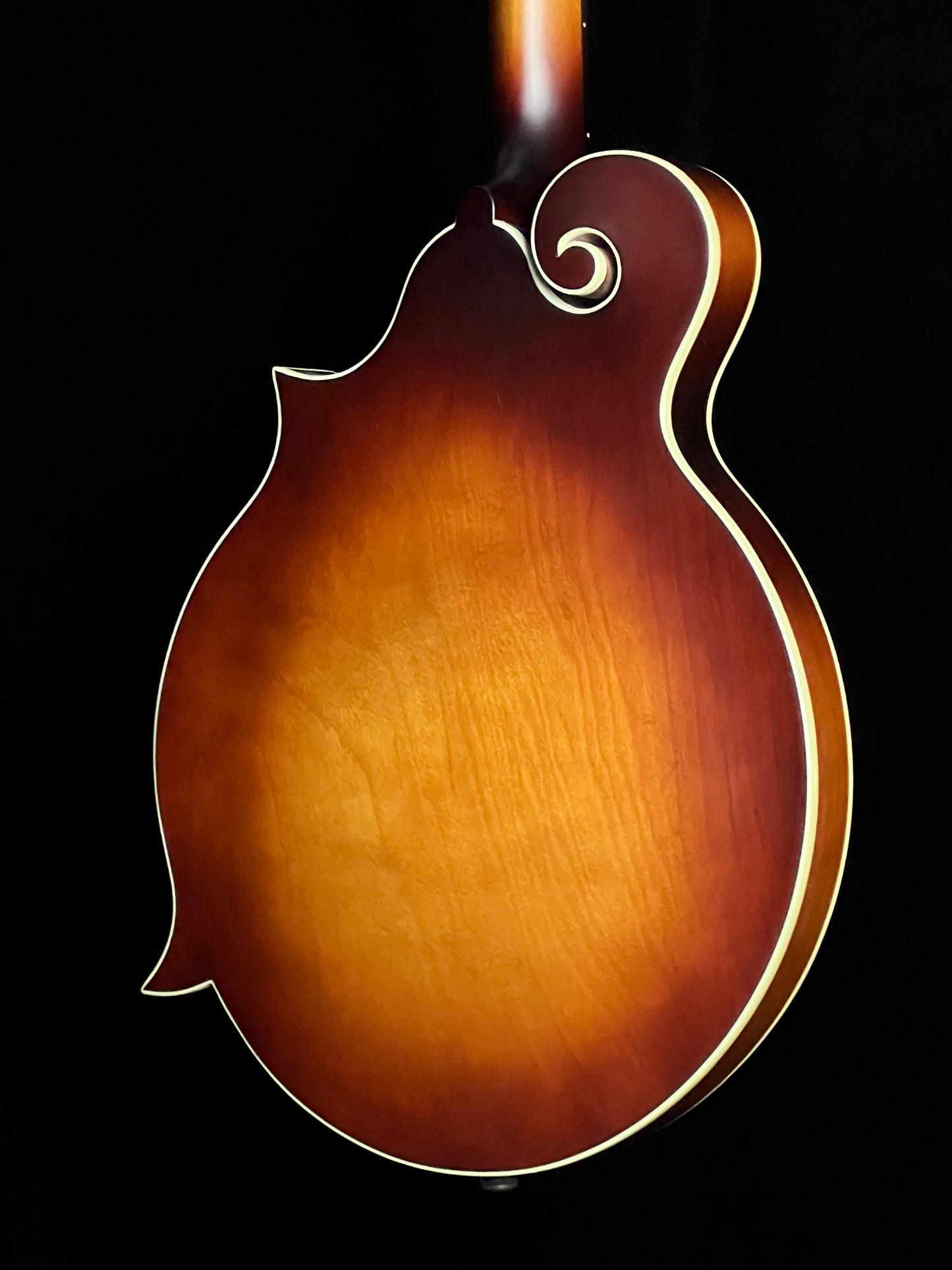 The Loar Honey Creek F-Style Mandolin LM-310F Solid Spruce Top - New
