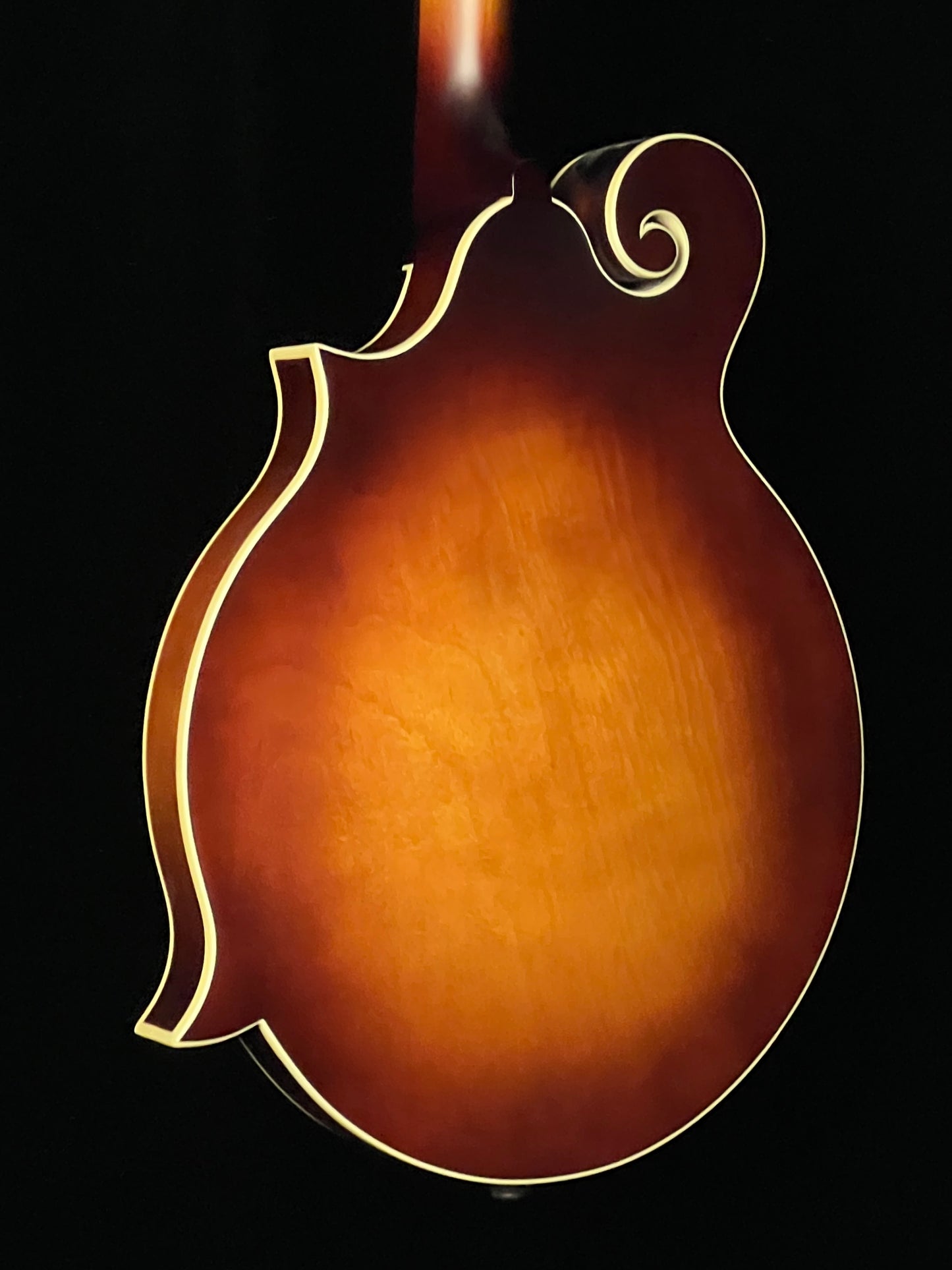 The Loar Honey Creek F-Style Mandolin LM-310F Solid Spruce Top - New