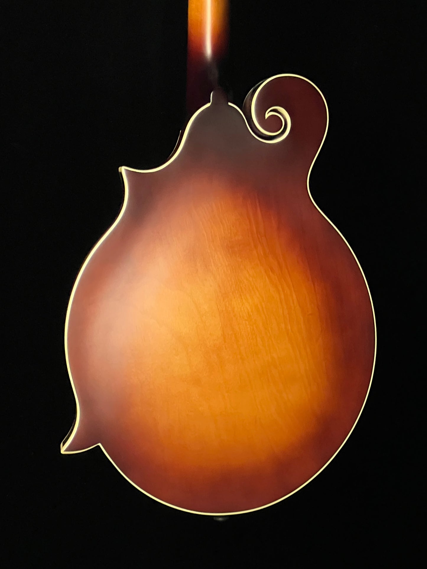 The Loar Honey Creek F-Style Mandolin LM-310F Solid Spruce Top - New