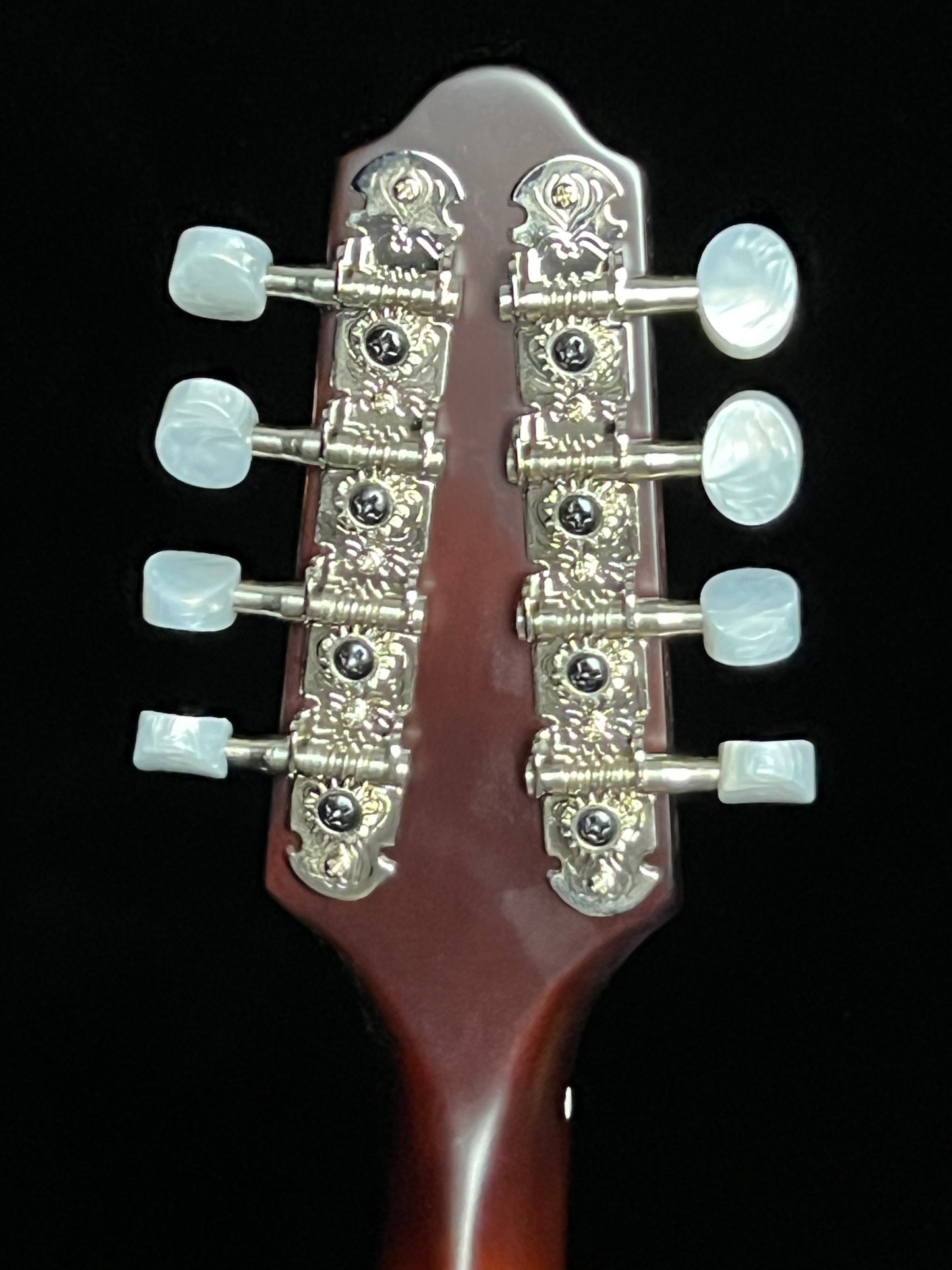 The Loar LM-110 Honey Creek A-Style Mandolin - New