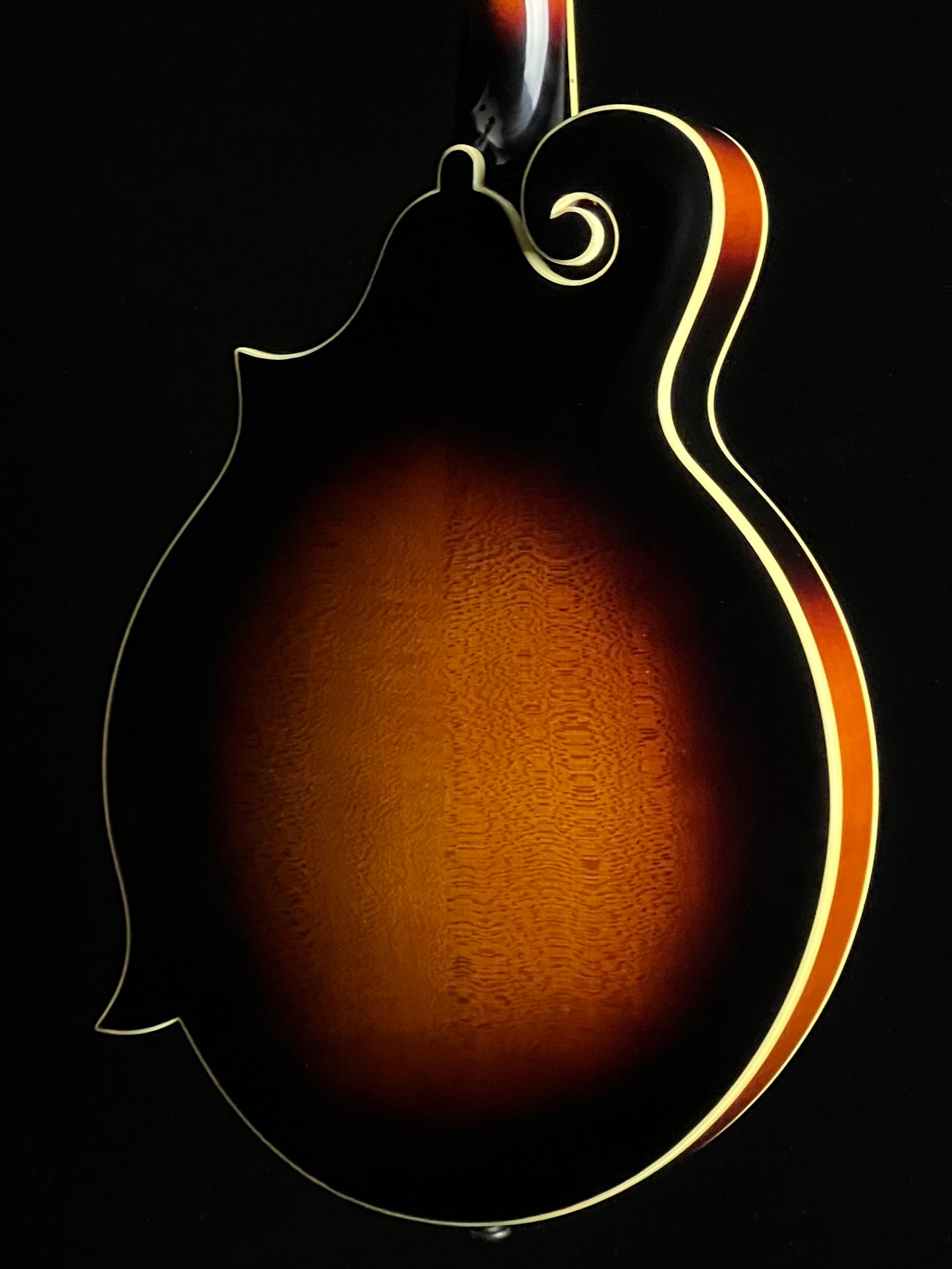 The Loar LM-520 Performer F-Style Mandolin Spruce/Maple - New