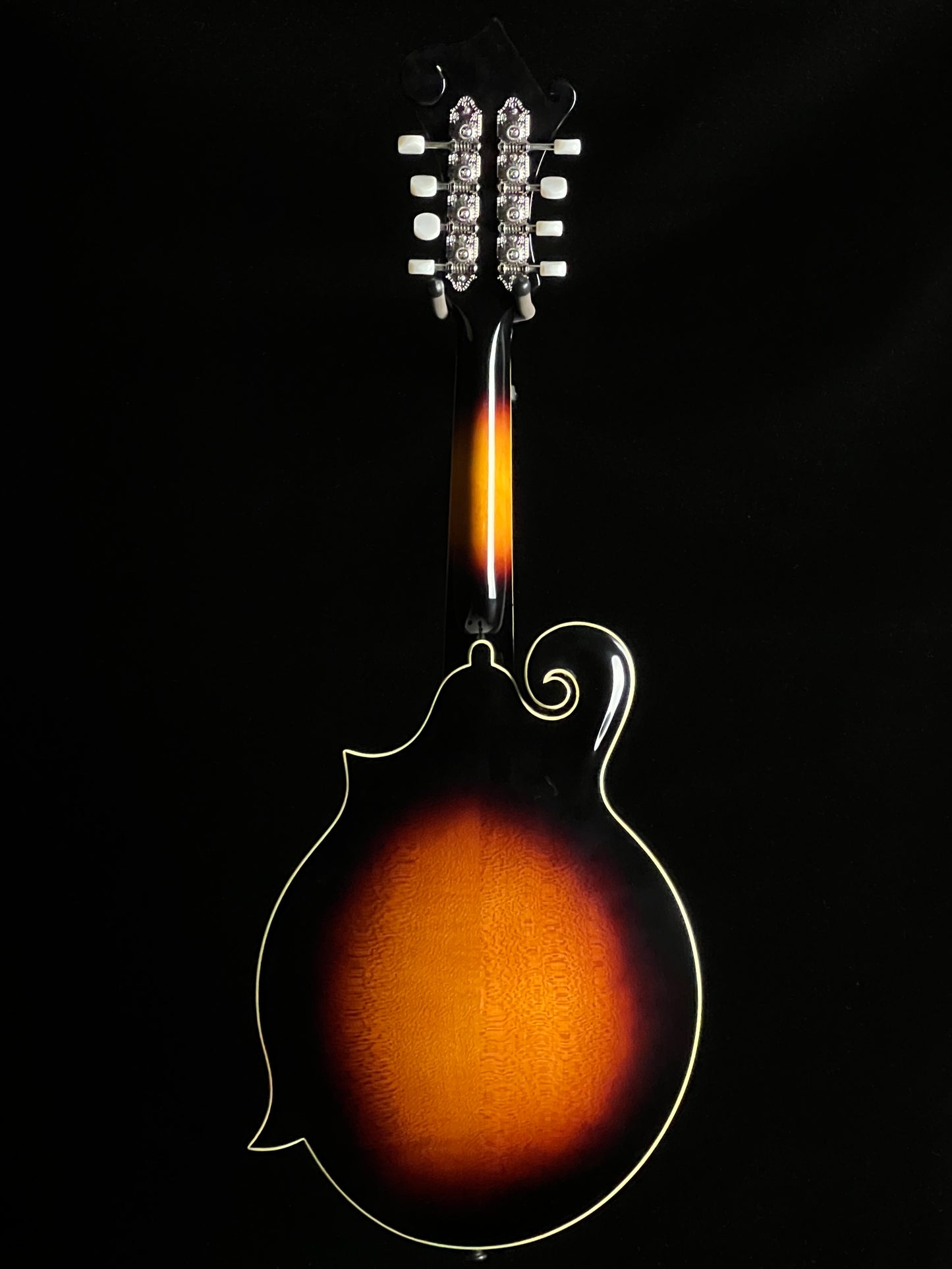 The Loar LM-520 Performer F-Style Mandolin Spruce/Maple - New