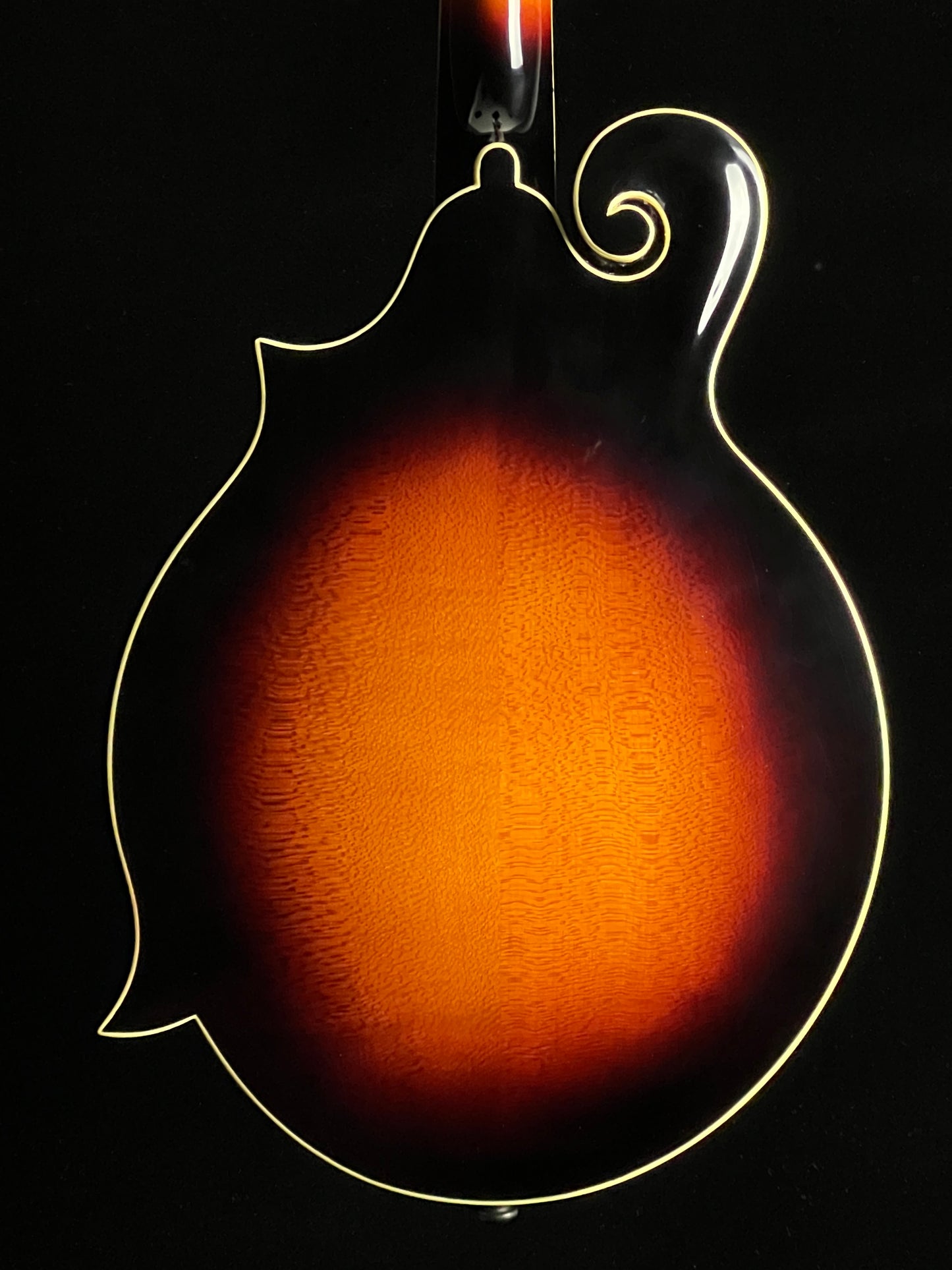 The Loar LM-520 Performer F-Style Mandolin Spruce/Maple - New