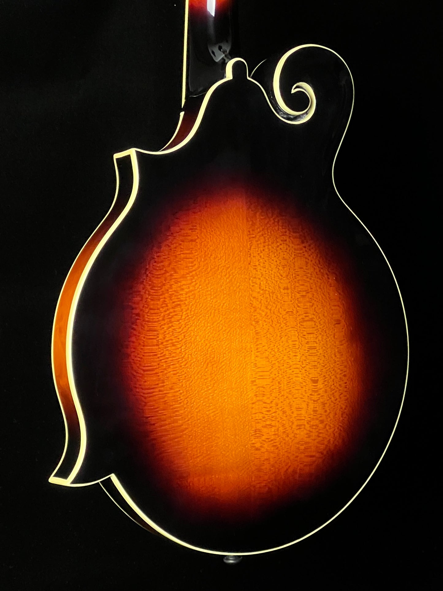 The Loar LM-520 Performer F-Style Mandolin Spruce/Maple - New