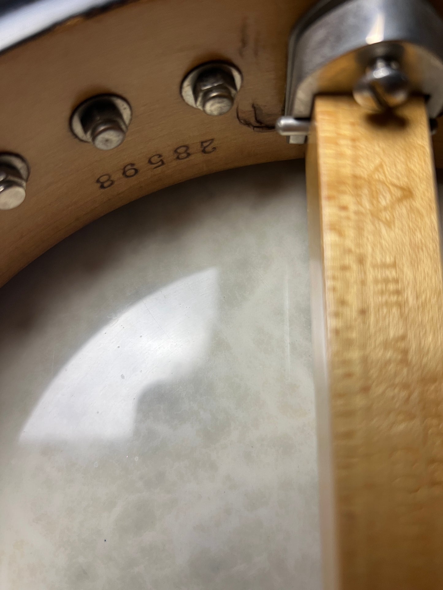 Vintage Vega Tenor Openback 4-String Banjo - Used