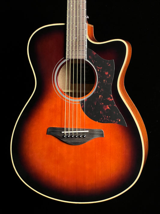 Yamaha AC1M Concert Cutaway Tobacco Brown Sunburst Sitka Spruce / Mahogany Acoustic Guitar with Pickup - New