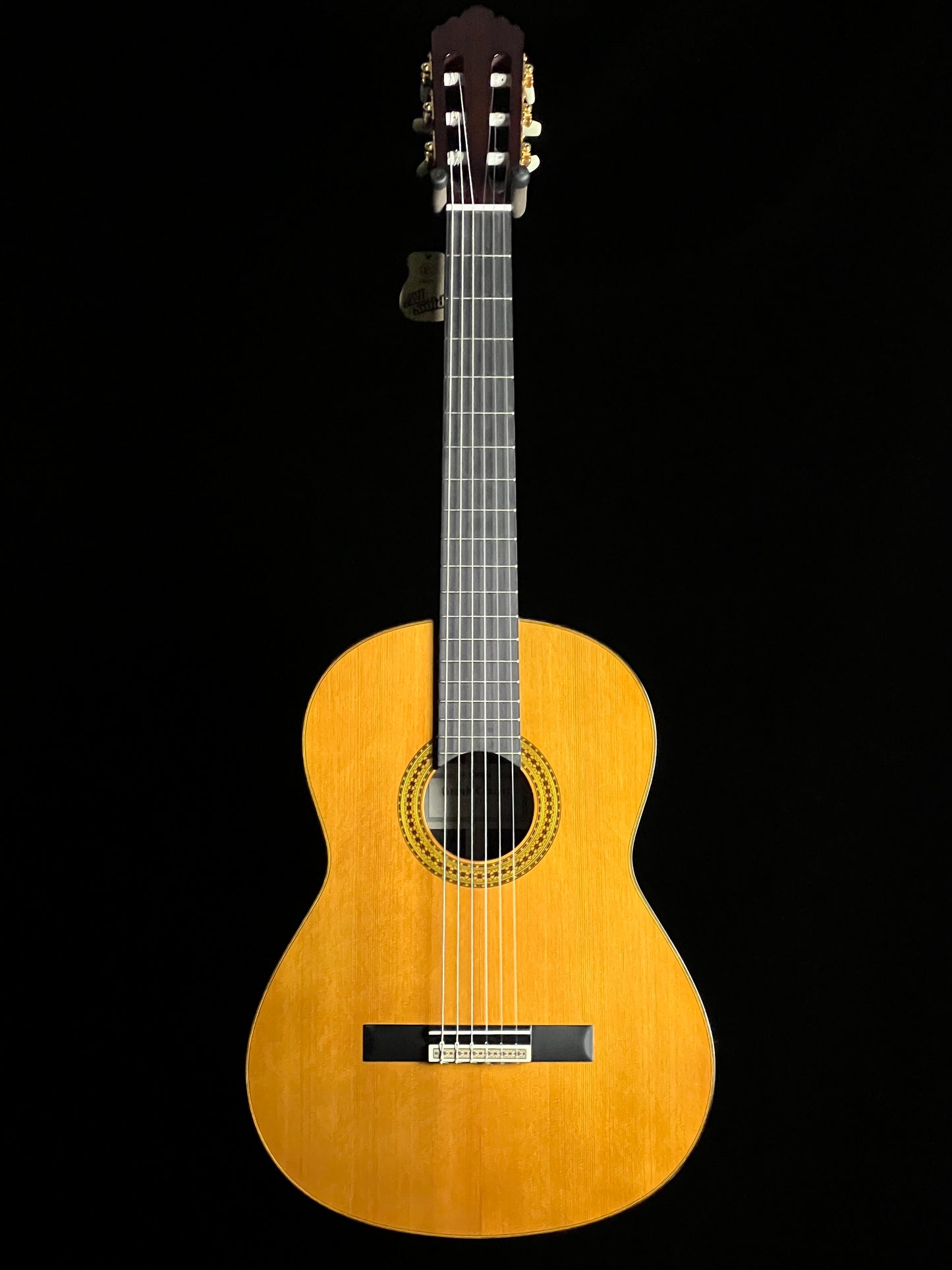 Yamaha GC22C Classical Solid Western Red Cedar / Solid Rosewood Acoustic Guitar - New