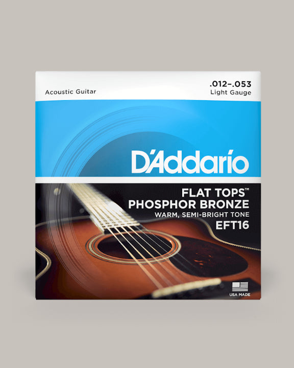 D'Addario Acoustic Guitar Flat Tops Phosphor Bronze Light 12-53 EFT16