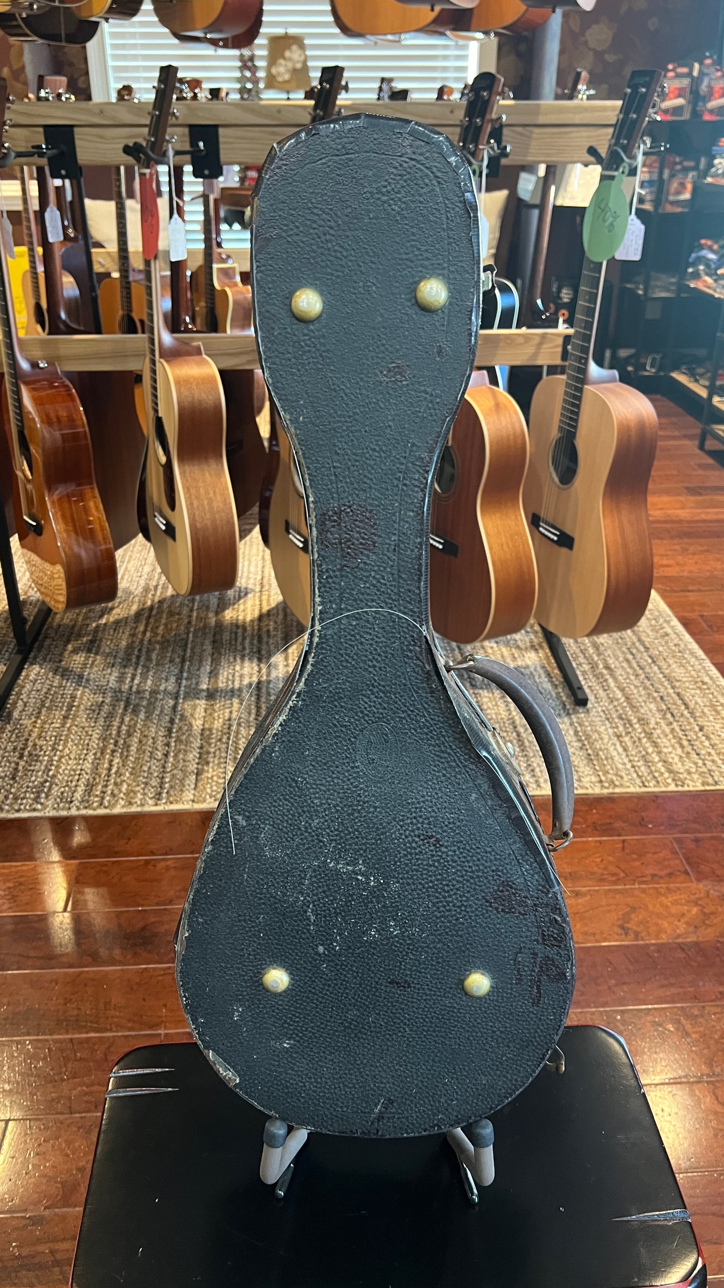 1921 Martin Style B Mandolin Spruce/Brazilian Rosewood  - Used