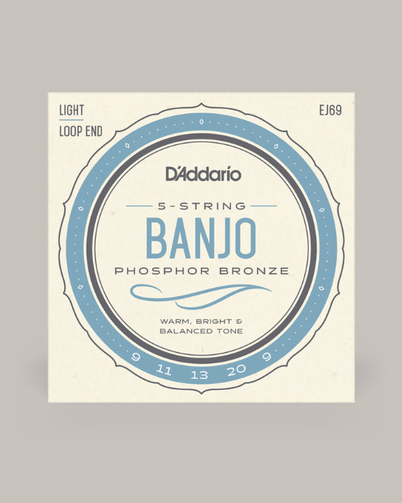 D'Addario Banjo Phosphor Bronze 09-20 EJ69