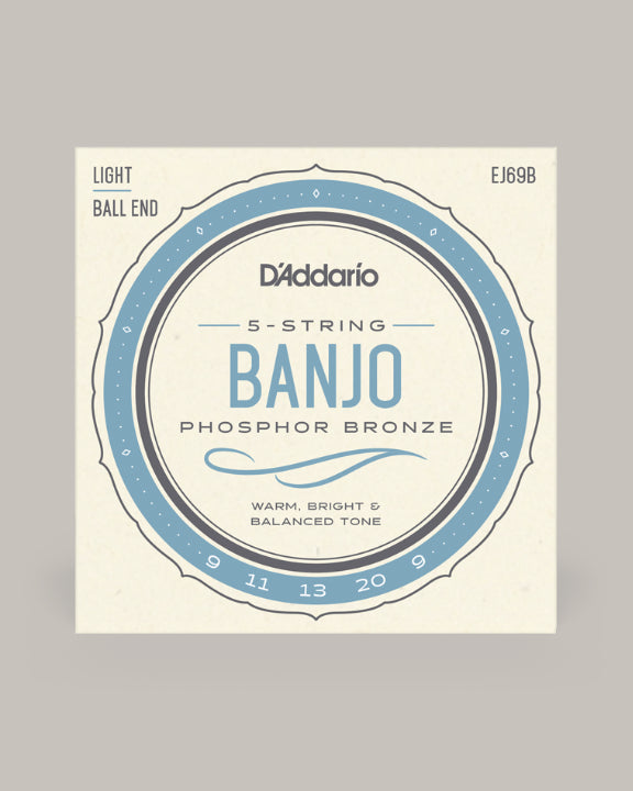 D'Addario Banjo Phosphor Bronze 09-20 EJ69B