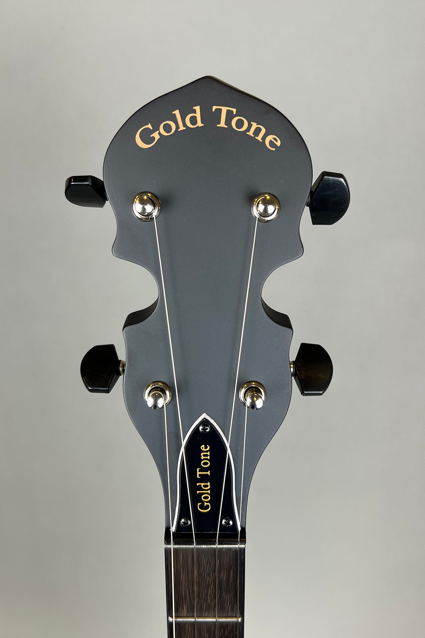 SOLD - Gold Tone Composite 5-String Openback Banjo