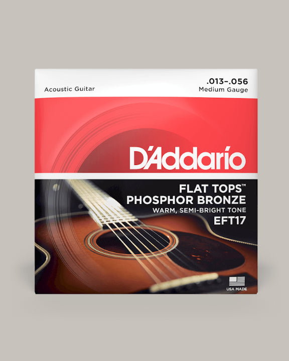 D'Addario Acoustic Guitar Flat Tops Phosphor Bronze Medium 13-56 EFT17