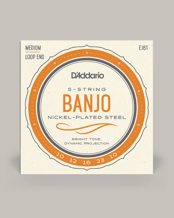 D'Addario Banjo Nickel-Plated Steel Medium Loop End 10-23 EJ61