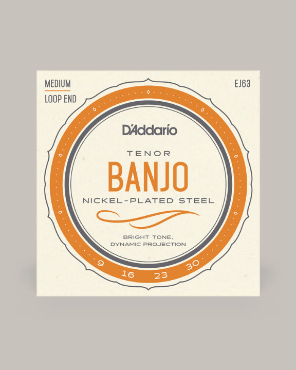 D'Addario Tenor Banjo Nickel Plated Steel 09-30 EJ63