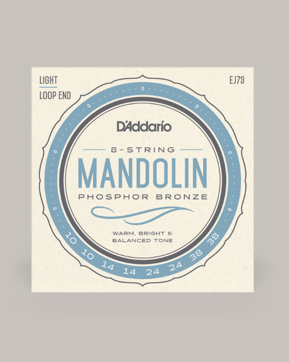 D'Addario Mandolin Phosphor Bronze Light Loop End 10-38 EJ73