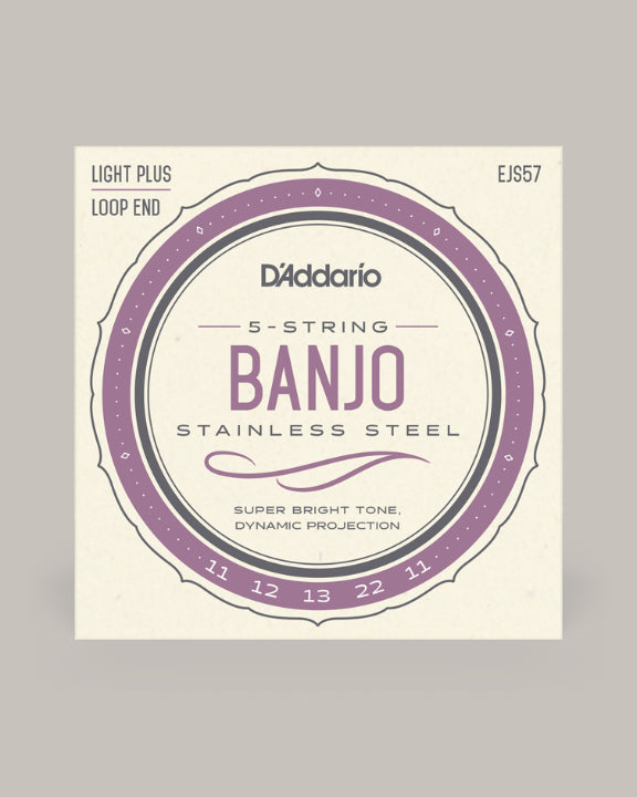 D'Addario Banjo Stainless Steel Light Plus Loop End 11-22 EJS57
